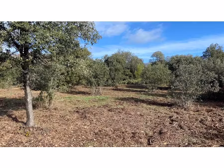 vente terrain à batir 1397 m² à puget (84360)  235 000 €