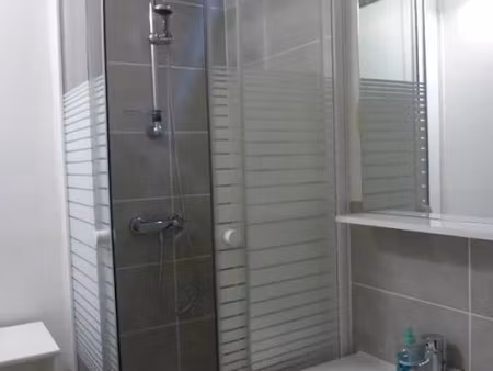 location meublée appartement 1 pièce 17 m² à dijon (21000)  380 €