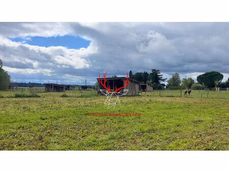 vivez la passion équestre