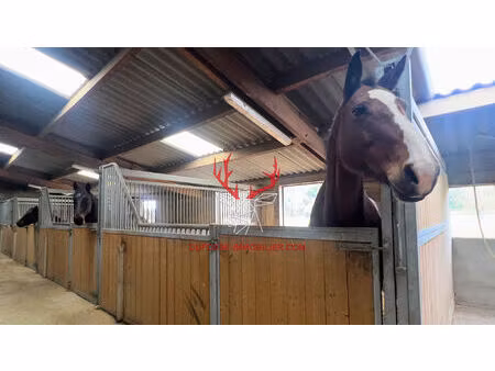 propriété équestre de 3 2 hectares