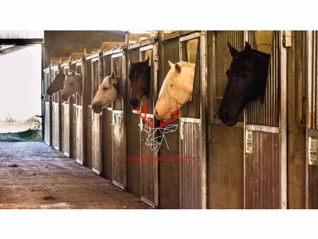 propriété équestre de 3 hectares