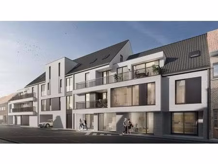 albert & jerome te koop in desselgem