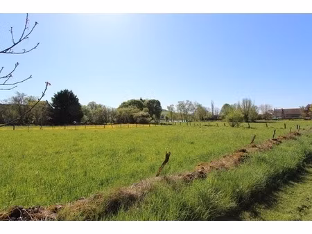 dpt côte d'or (21)  à vendre painblanc  terrain à bâtir de 1174 m²