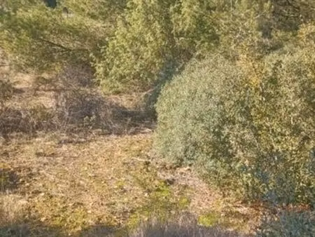 vente terrain de loisirs