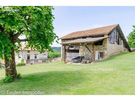 propriété 200 m² saint-romans