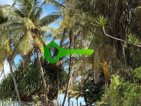 immo-vert  t2 meublé  centre ville  cayenne