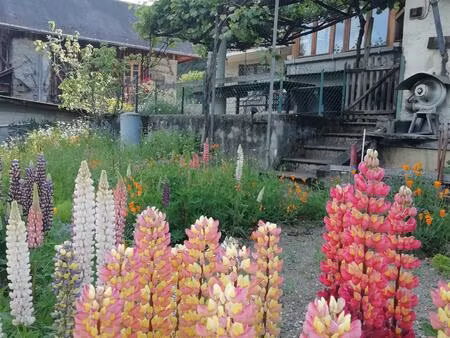 vente maison saint-georges-d’hurtières (73220)