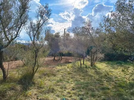 vente terrain à construire 2026 m² cotignac (83570)