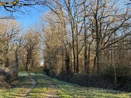 terrain de loisirs à tranzault (36230)