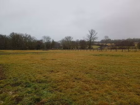 secteur olby  terrains bornés  viabilisés eau  edf  accès fait