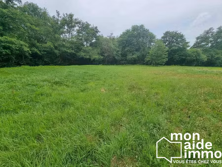 beau terrain viabilisé et libre constructeur