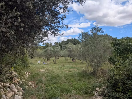 superbe terrain constructible à sauve