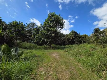 terrain constructible à vendre