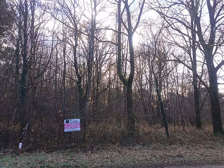 terrain chatillon sur cher 4073 m2