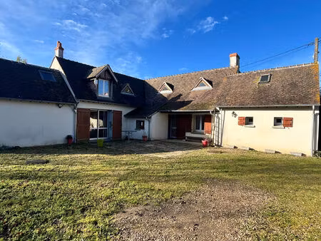 maison jargeau 7 pièce(s) 192.51 m2