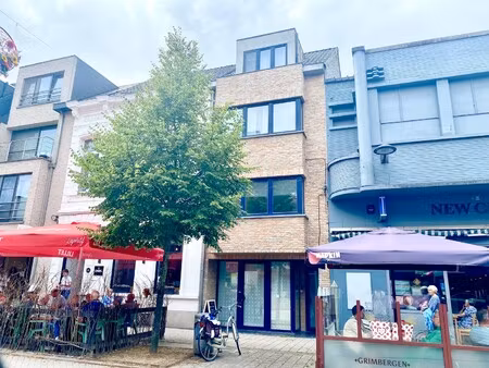 appartement te huur in bornem met 1 slaapkamer