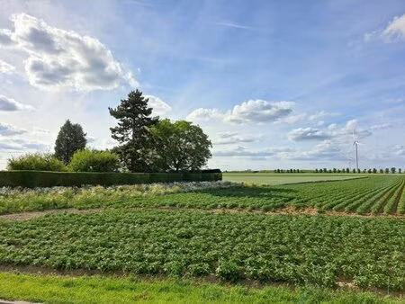 en vente terrain non constructible 1 451 m² – 98 000 € |cantin