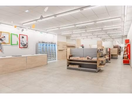 iconische cinemazaal met woonunit en commerciële ruimtes – ±760 m² potentieel in hartje si