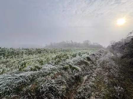 60180 nogent sur oise terrain agricole