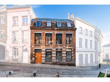 huis te koop in mons met 5 slaapkamers