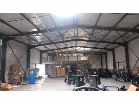 locaux commerce-artisanal-industriels