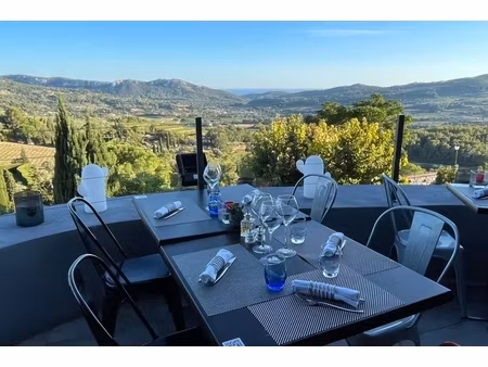 annonce commerce à vendre