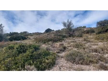 leucate proche  terrain constructible hors lotissement.