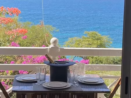 achat appartement 1 pièce 21m² le diamant 97223