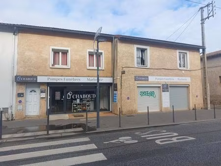 immeuble villeurbanne 10 pièce(s) 300 m2