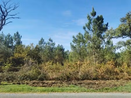 vente terrain 450 m² hourtin (33990)
