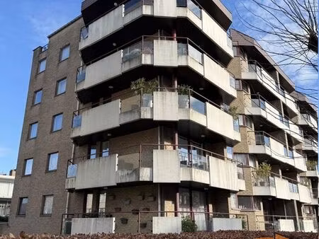 ruim appartement met 2 slpks  bureau  kelder en staanplaats