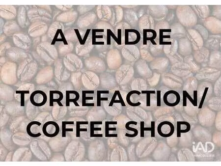 vente bureaux et commerces à saint-martin-de-ré (17410) : à vendre / 150m² saint-martin-de