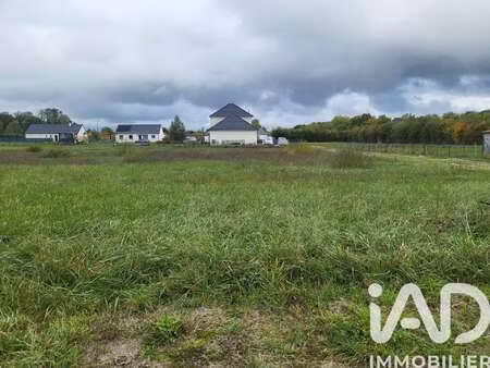 vente terrain à la cour-marigny (45260) : à vendre / 1441m² la cour-marigny