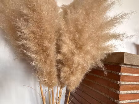 appartement cosy entièrement rénové avec vue dégagée de 95.5 m² au coeur de saint rémy