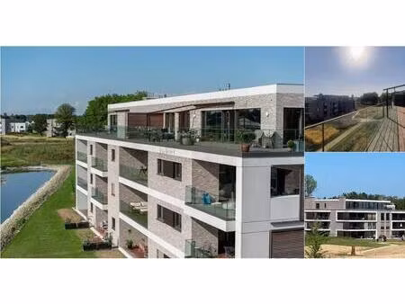 penthouse à vendre à du roy de blicquylaan 45 sterrebeek (vbd85443)