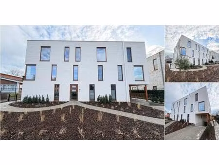 penthouse à louer à lierse steenweg 25 bouwel (rbv23839)