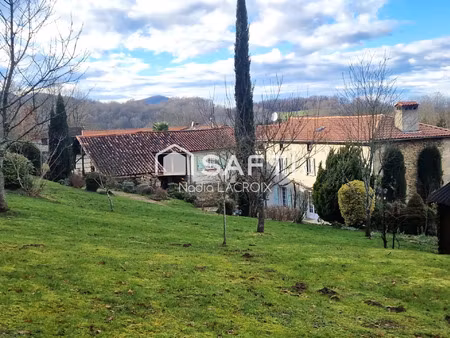 vente maison 9 pièces 300 m² castelbiague (31160)