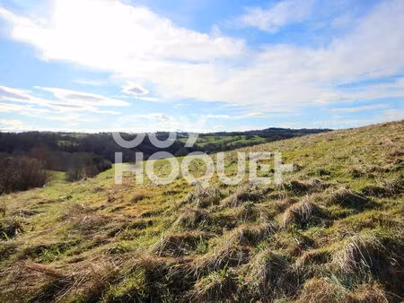 terrain à vendre à ozenx montestrucq