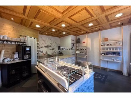 annonce commerce à vendre