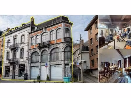 immeuble de rapport à vendre à rue andré sodar 1 & 3 dinant (vbd84631)