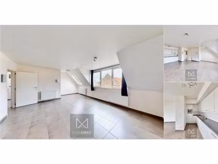 immeuble de rapport à vendre avec terrasse et jardin   lauwe (rbv24418)