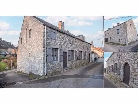 maison à vendre avec garage et jardin   mazée (vbd84663)