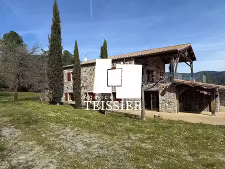 vente maison 9 pièces 216.56 m² à saint-pierre-saint-jean (07140)  490 000 €