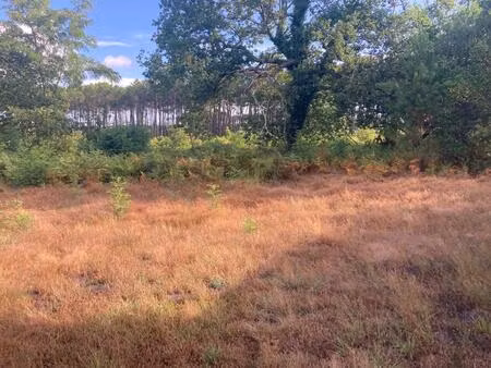 vente terrain à construire 500 m² salles (33770)