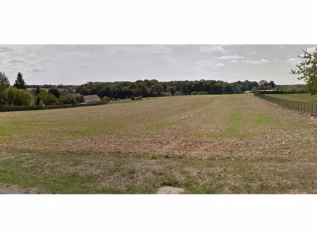 vente terrain 7475 m² aillant-sur-milleron (45230)