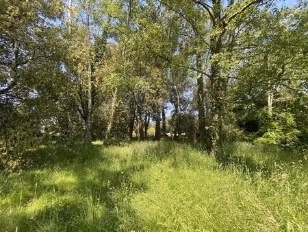 vente terrain 1200 m² saint-gildas-de-rhuys (56730)