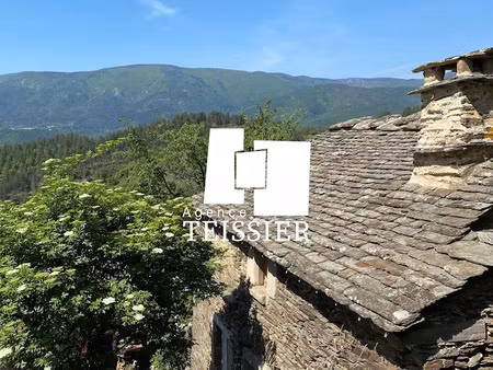 vente maison 20 pièces 341 m² à ponteils-et-brésis (30450)  750 000 €