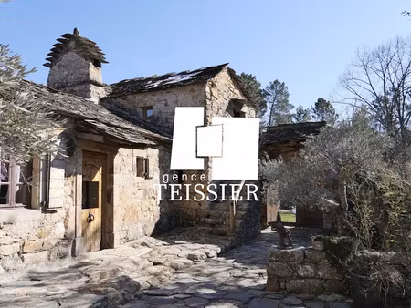 vente maison 18 pièces 270 m² à bordezac (30160)  790 000 €