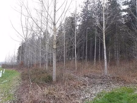 vente maison 17160 m² cauzac (47470)