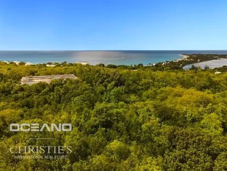 vente terrain 7750 m² lacaussade (47150)